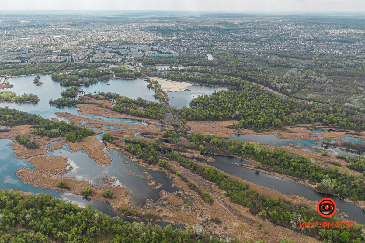 Диевские плавни Диевские плавни