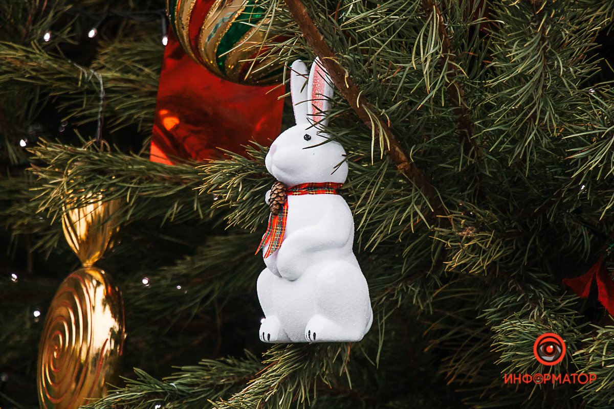 Что зайчик принес под елку?