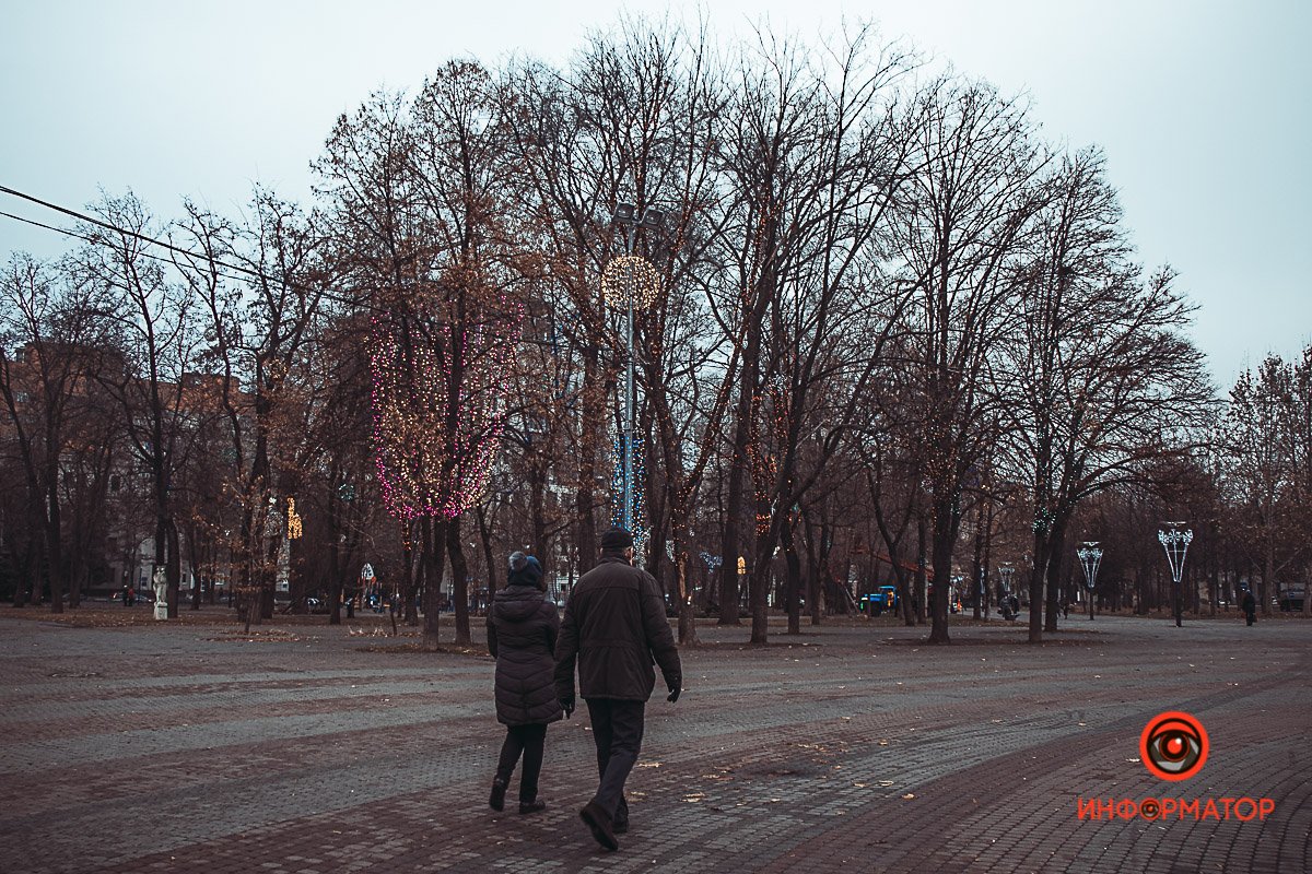 Гирлянды на деревьях