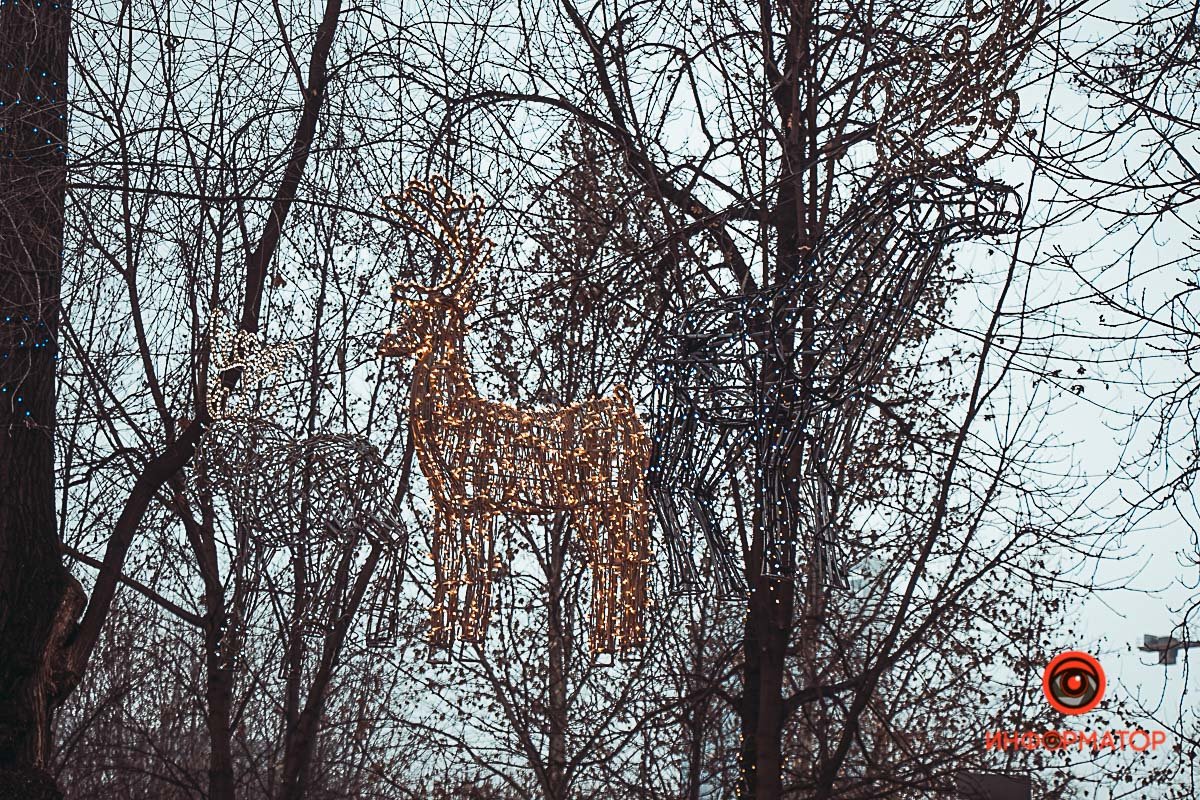 Найди оленя