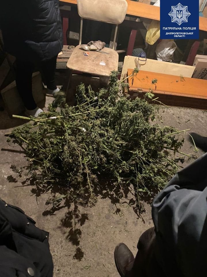 Также он выращивал наркотическое растение Также он выращивал наркотическое растение