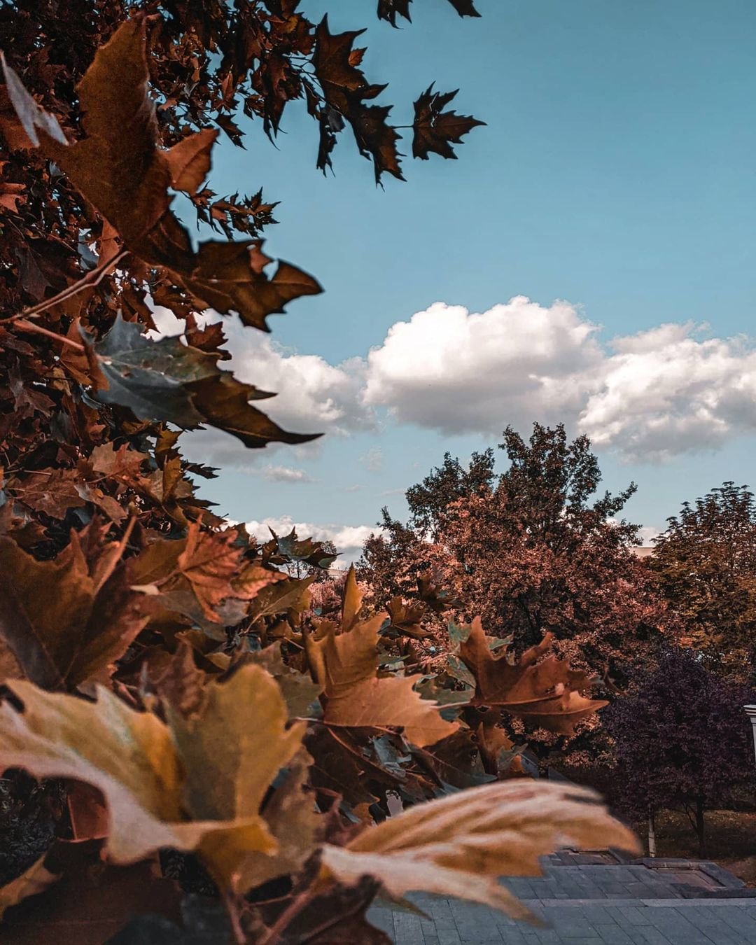 Фото: @golovko_andrew