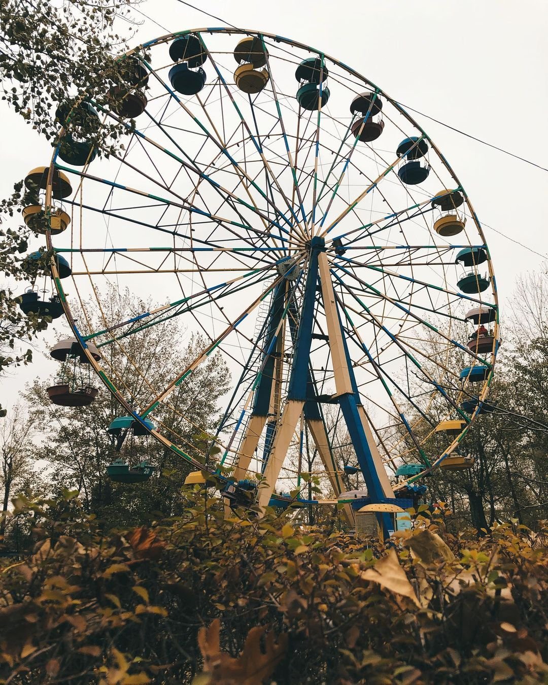 Фото: @vikushaa_aa