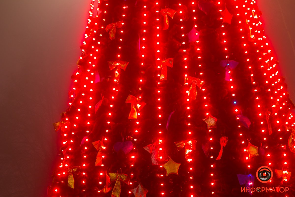 Среди иголок спрятаны украшения