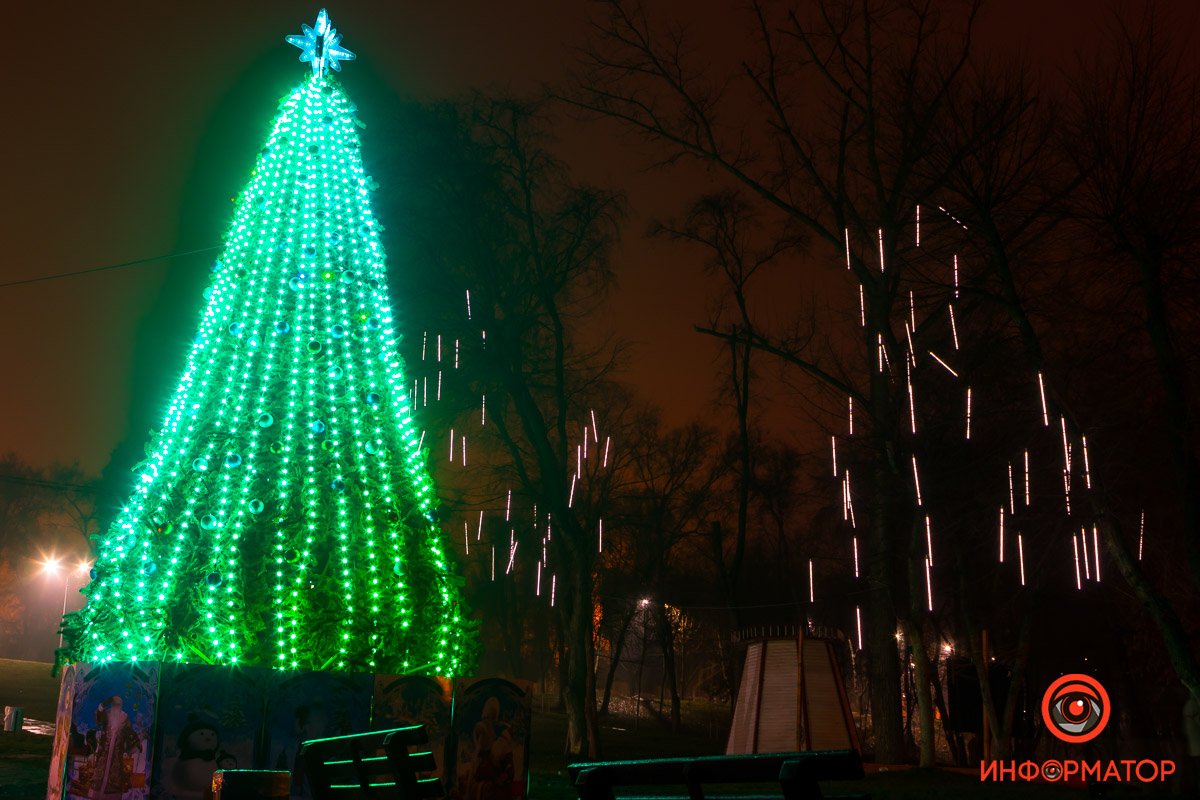 Вечнозеленая