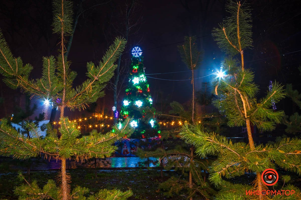 Благодаря украшенным елкам в парке стало больше света