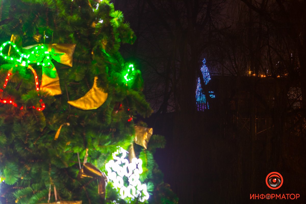 Рядом можно понаблюдать и сравнить с другими елками