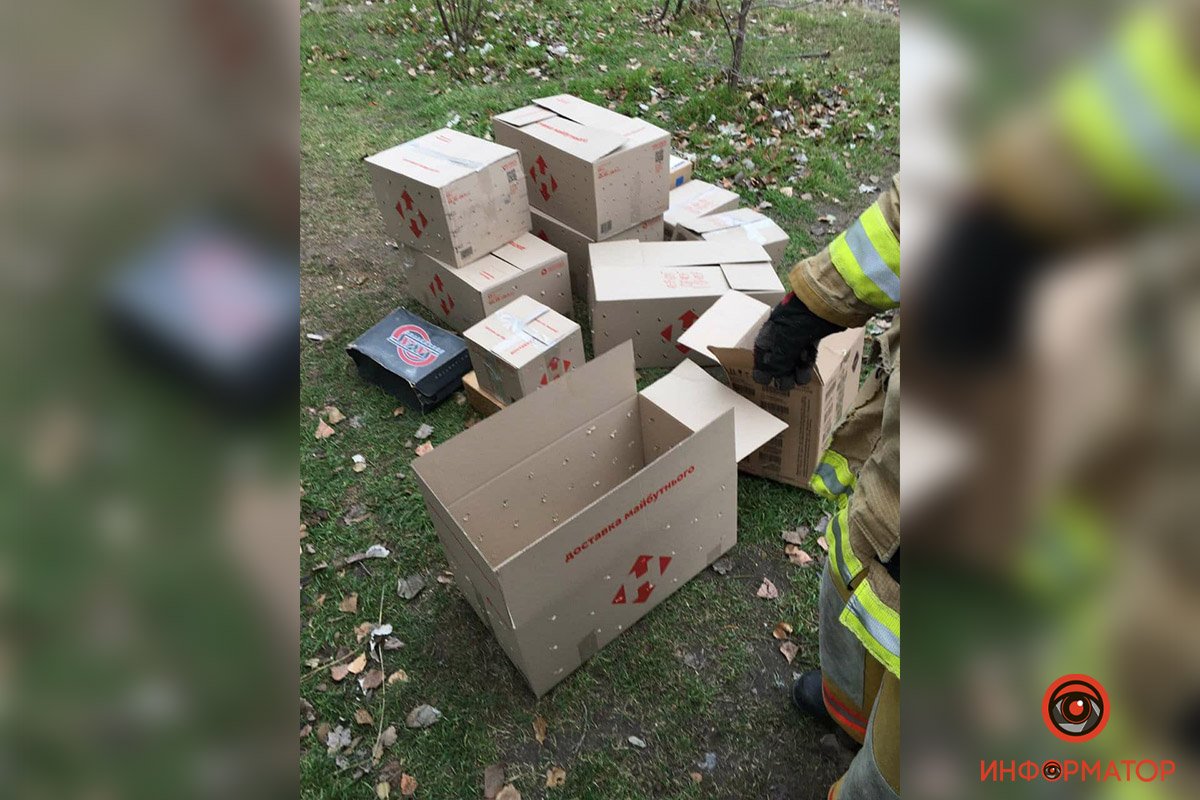 В коробках сделали дырки, чтобы мышки могли дышать, пока едут в новый дом