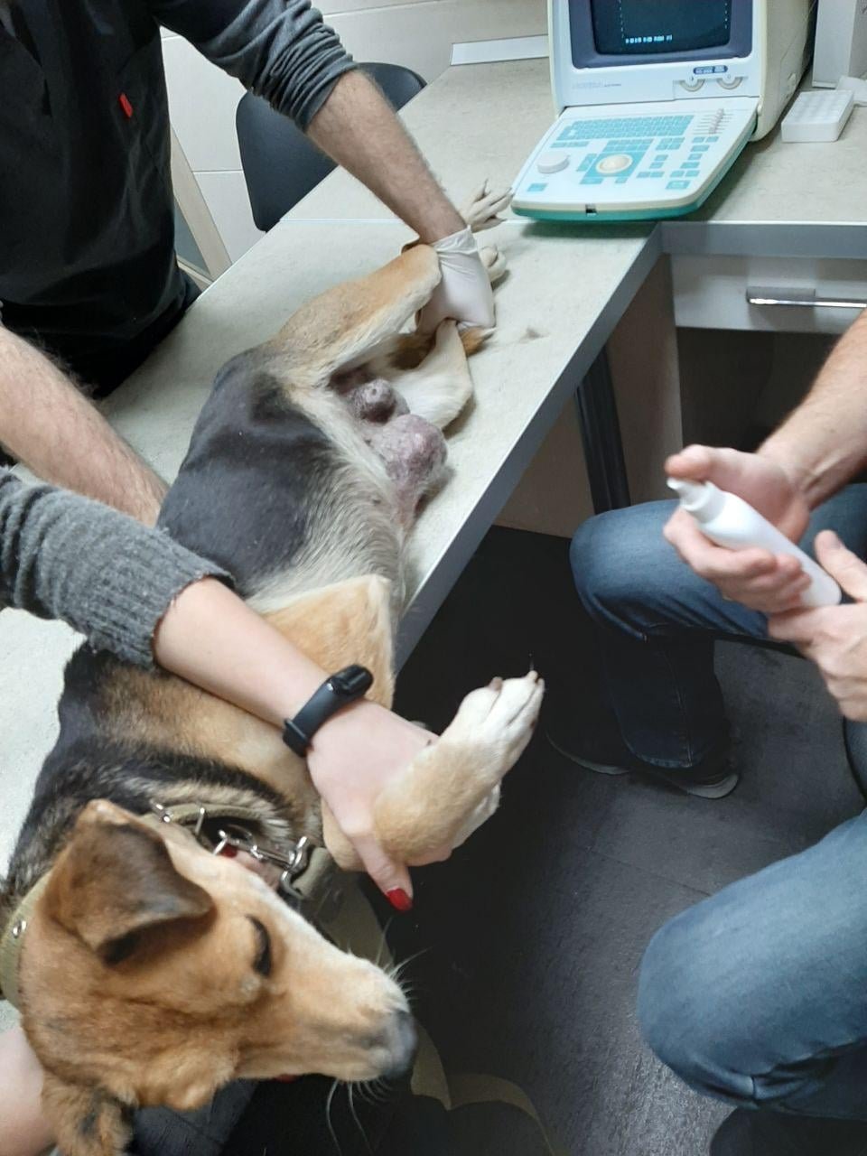 Нужно успеть, пока опухоли не стали злокачественными