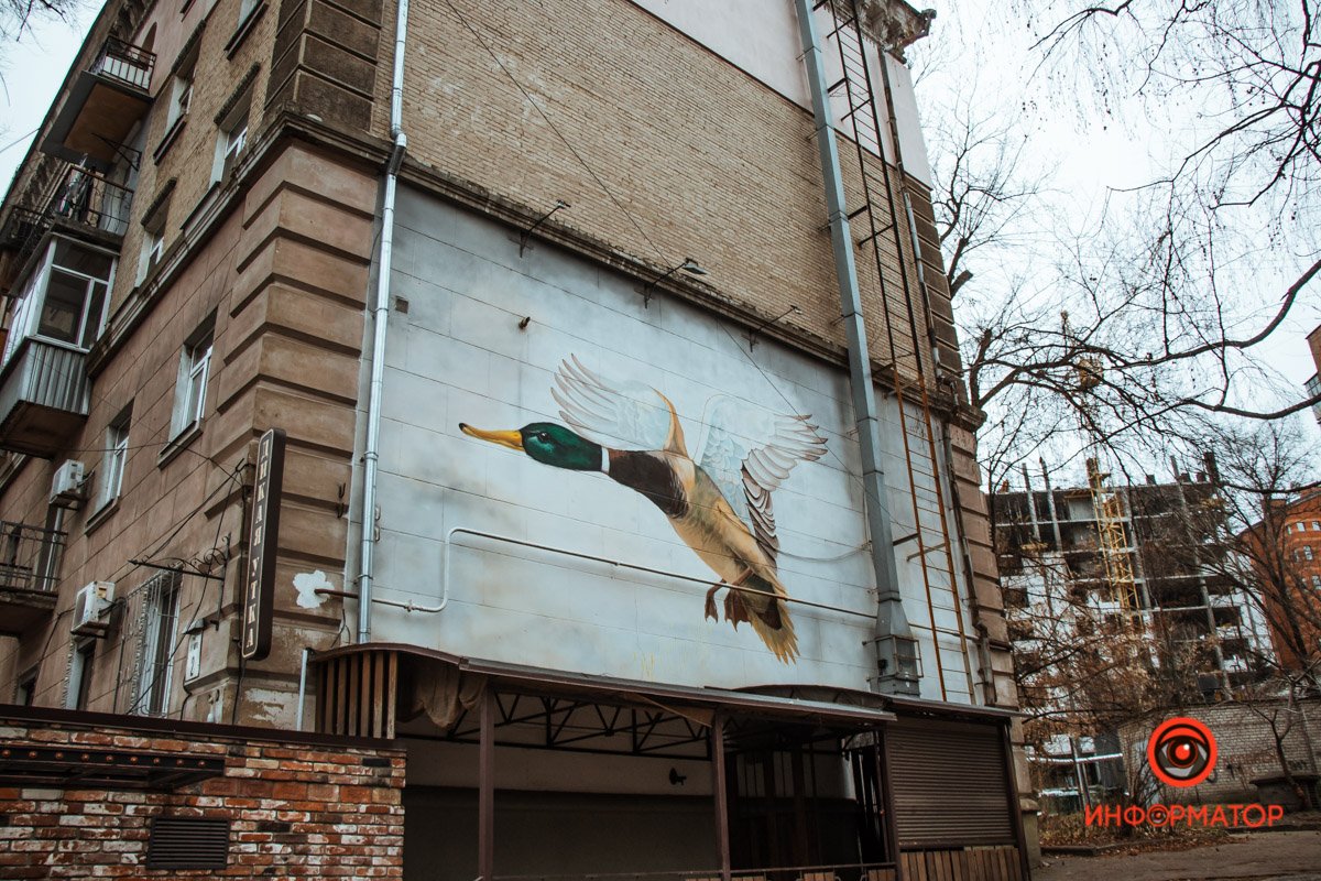 Куда летит утка?