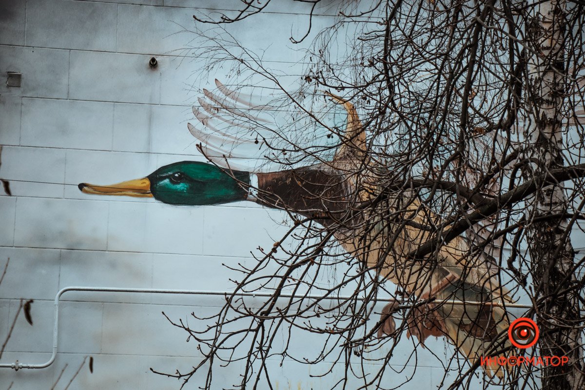 Прячется за деревьями 