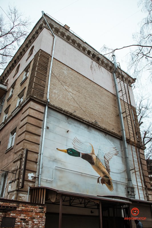 Утка на пятиэтажке 