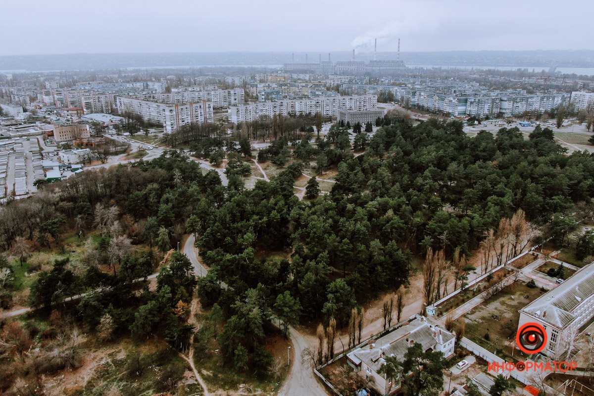 Кусочек зелени на фоне серого города Кусочек зелени на фоне серого города
