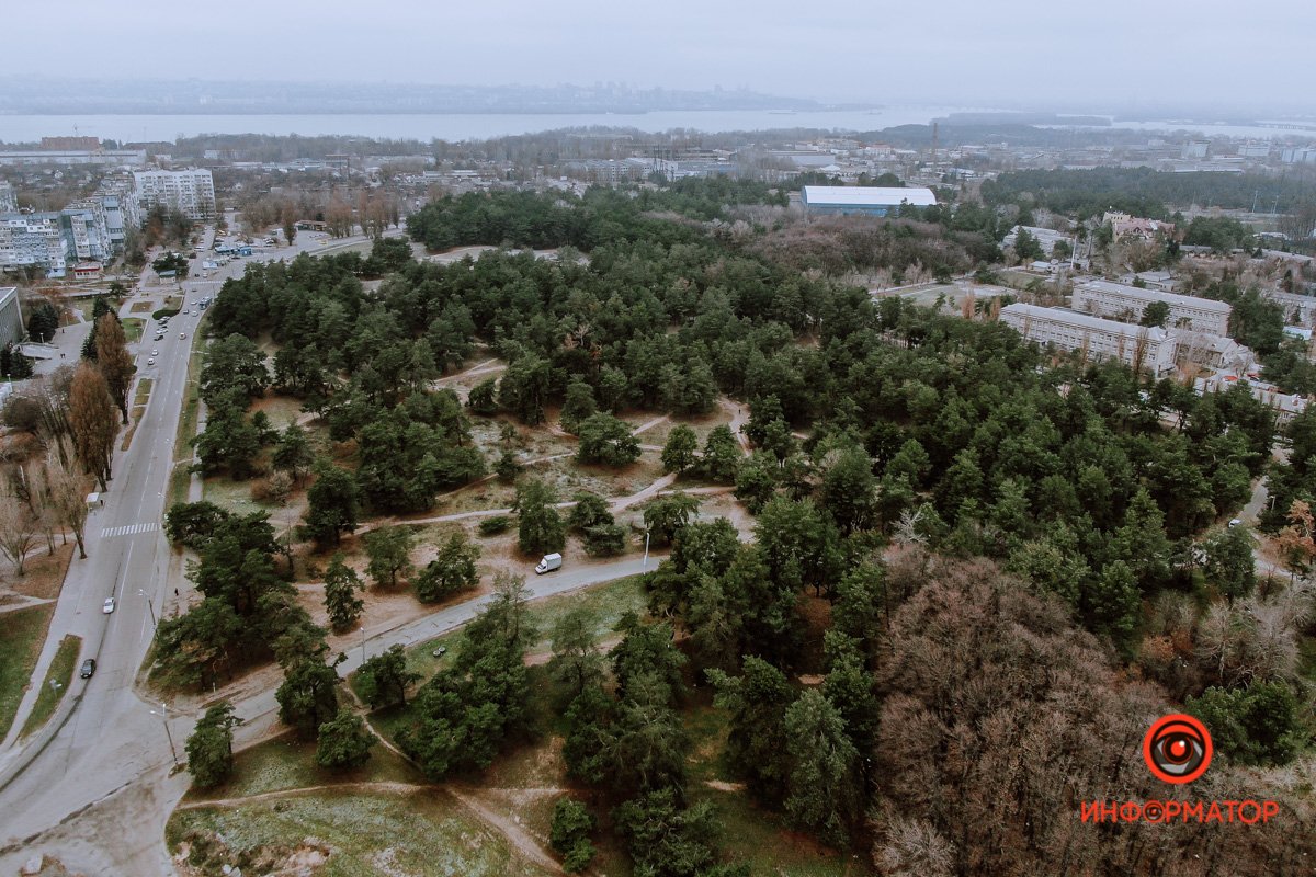 Бросить все и уйти в лес Бросить все и уйти в лес