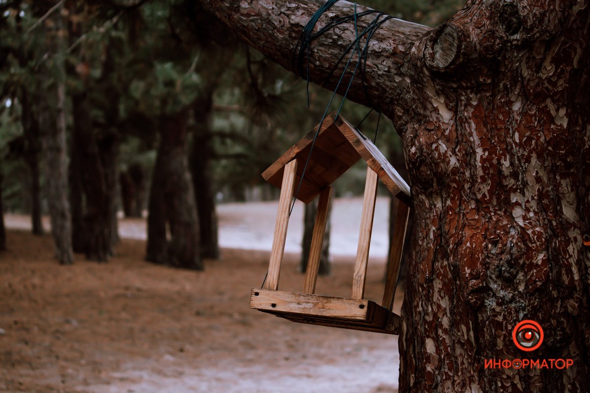 Пусто :( Пусто :(