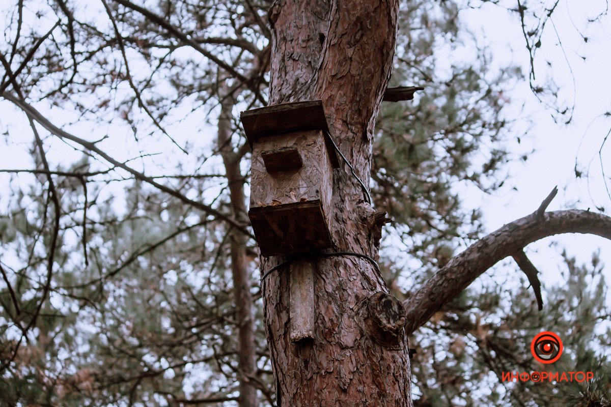 Кто, кто в теремочке живет? Кто, кто в теремочке живет?
