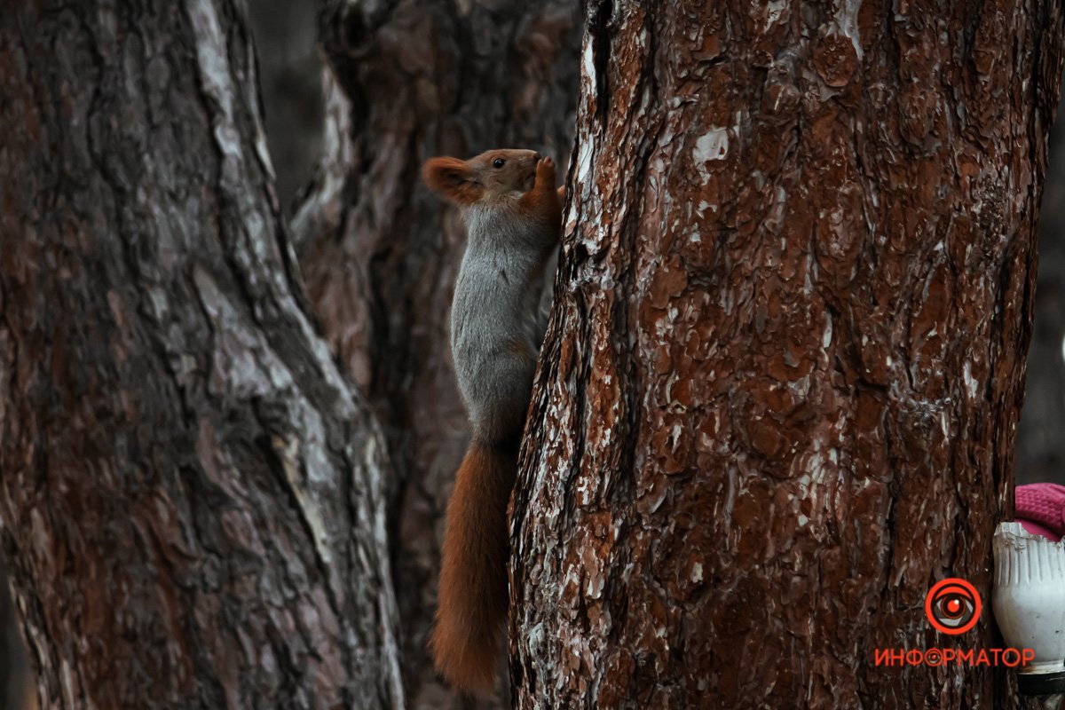 А вот кто А вот кто