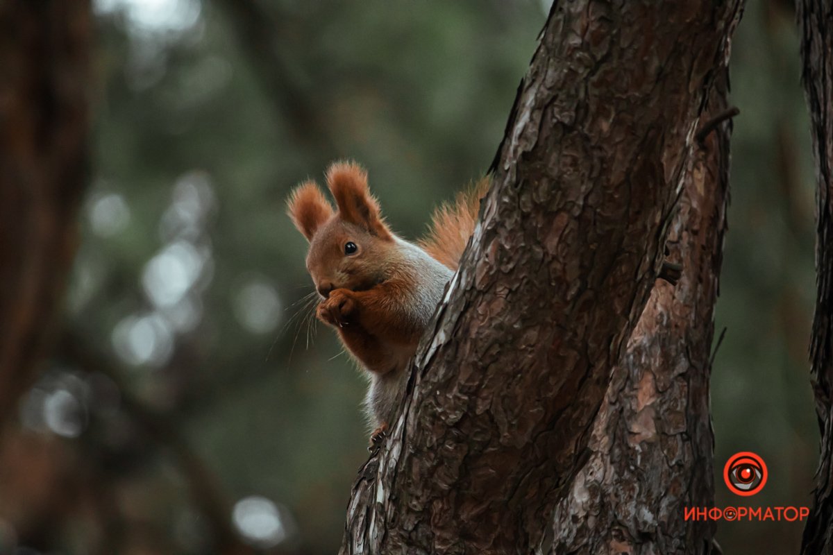 И так уж вышло... И так уж вышло...