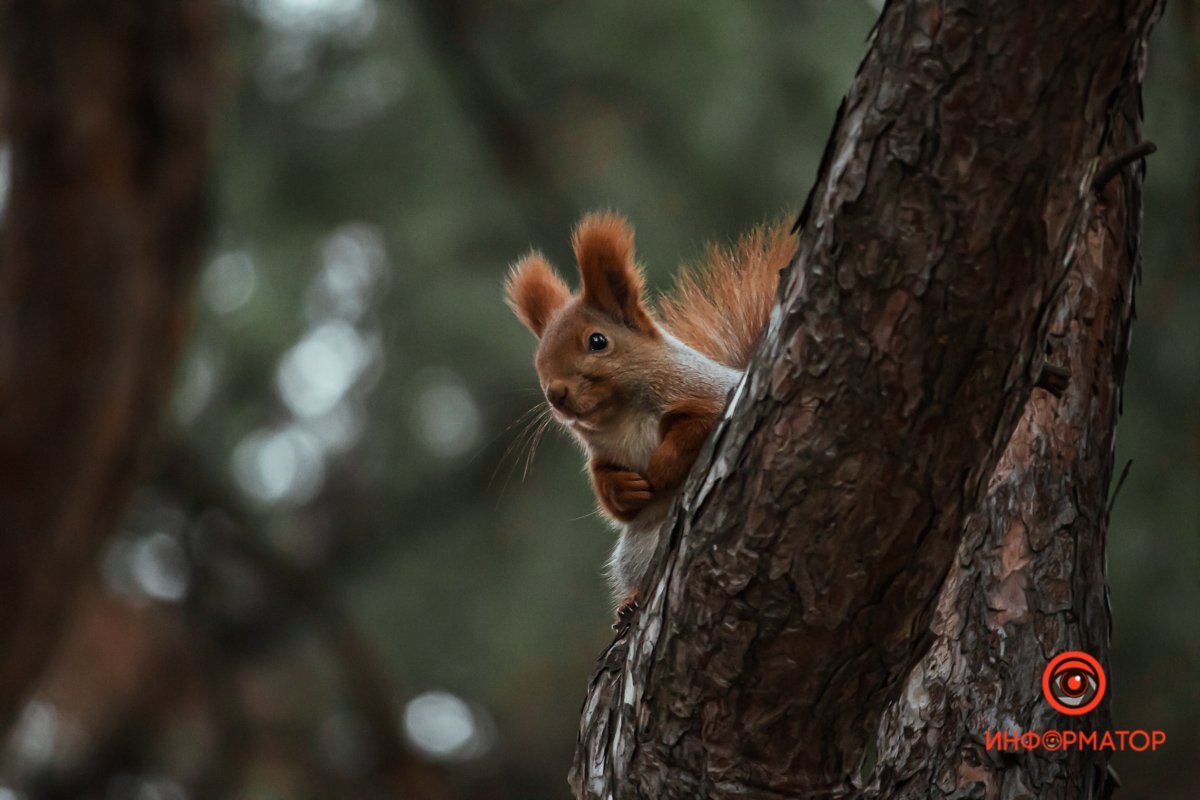 Что я, не поверишь, тот, кто тебе нужен :) Что я, не поверишь, тот, кто тебе нужен :)