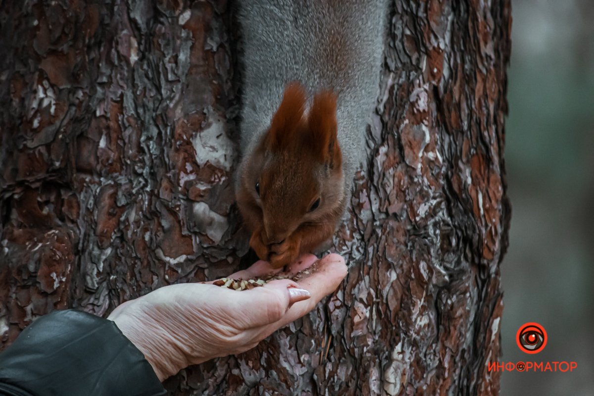 Они уже давно знакомы Они уже давно знакомы