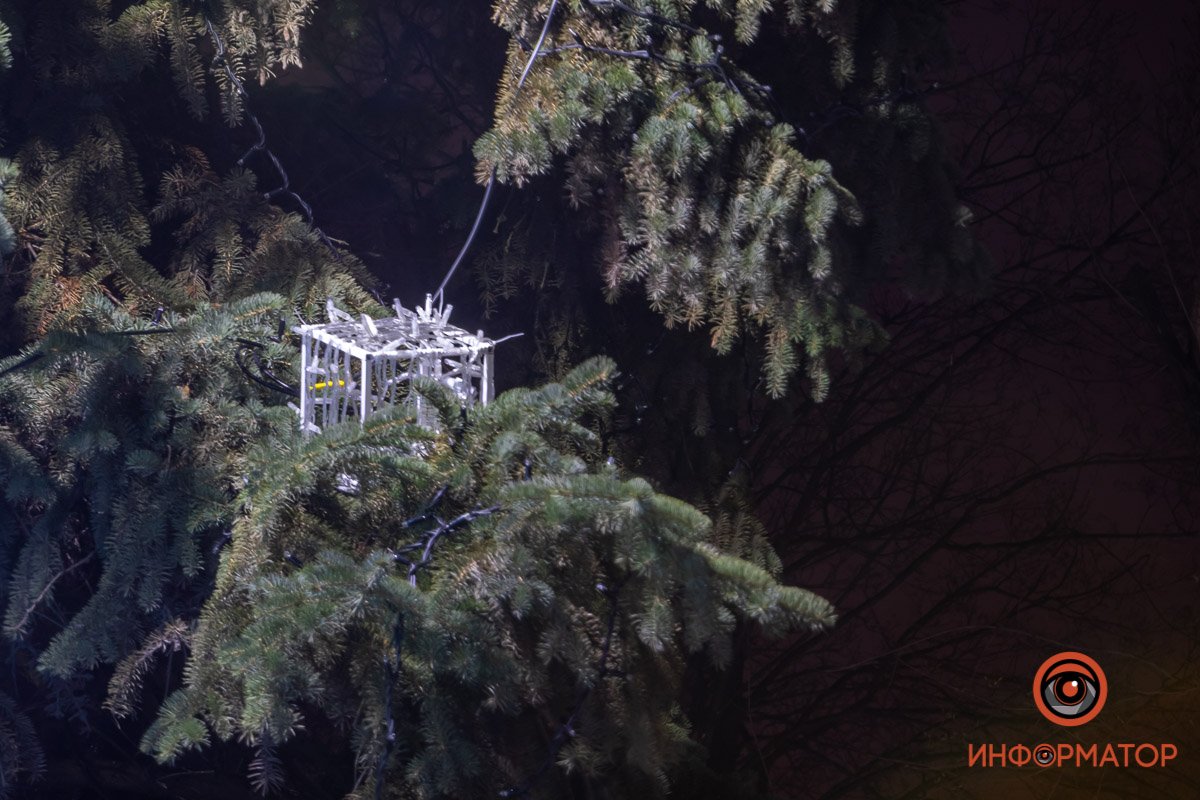 Притаился на ветке Притаился на ветке