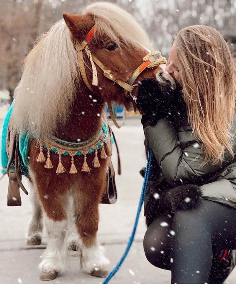 @horses_and_pony.dp