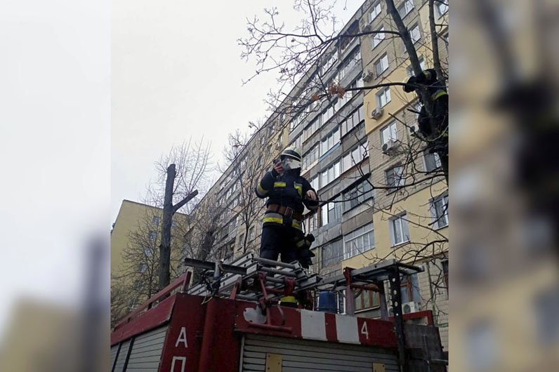 Голубя сняли при помощи лестницы Голубя сняли при помощи лестницы