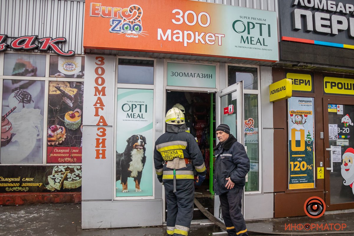 Животных внутри не было Животных внутри не было