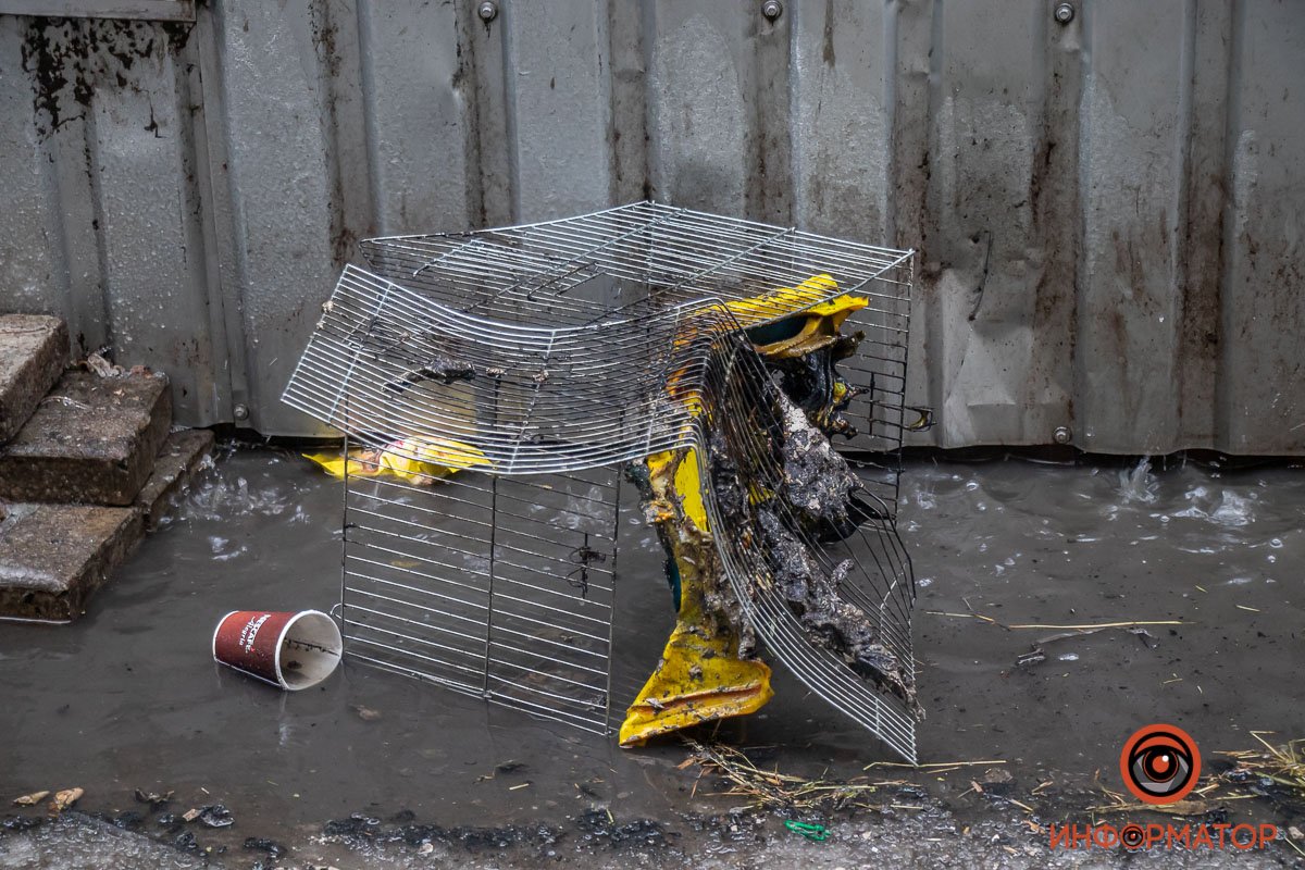 Внутри были товары для животных Внутри были товары для животных