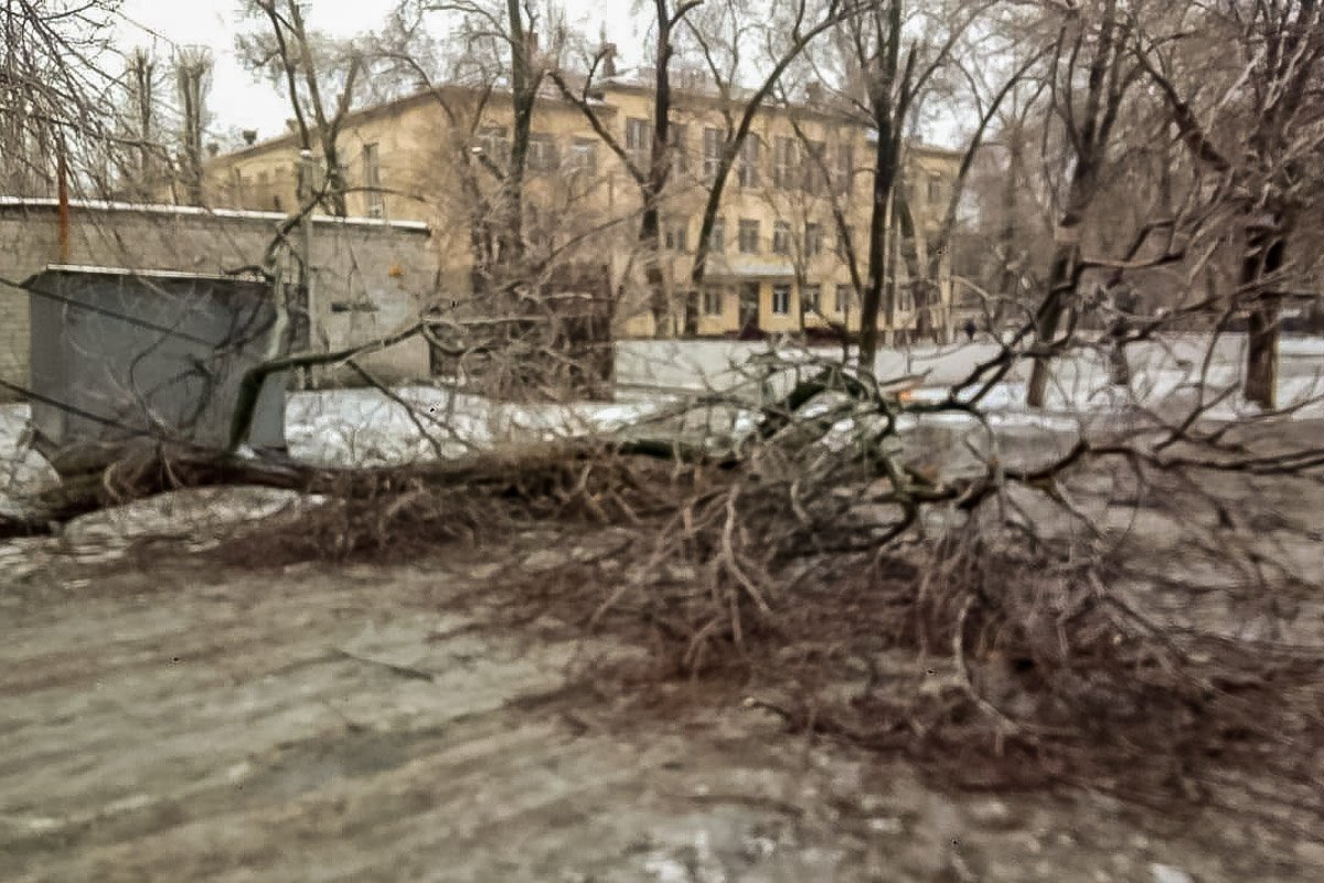 Последствия ледяного дождя в Днепре: хроника непогоды 9