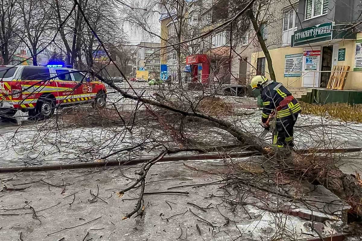 Последствия ледяного дождя в Днепре: хроника непогоды 10