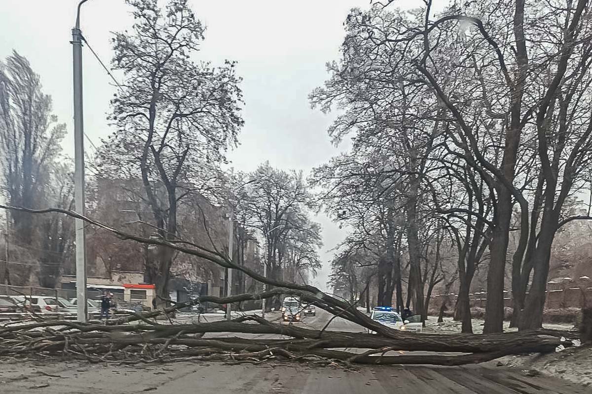 Последствия ледяного дождя в Днепре: хроника непогоды 12