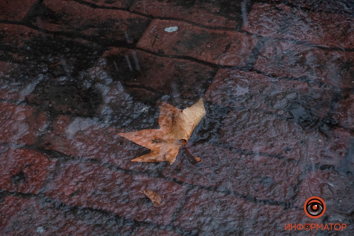 Осень или зима? Осень или зима?