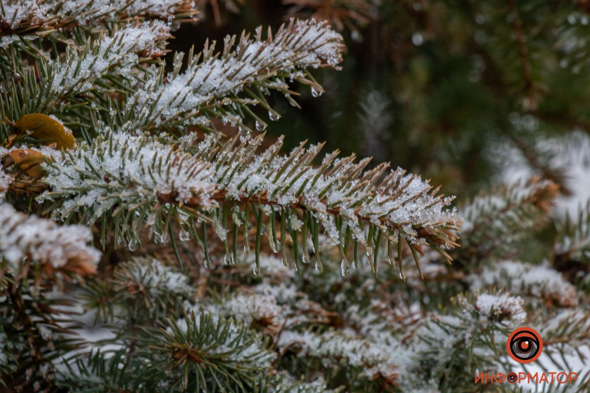 Ну не тай же ты так быстро Ну не тай же ты так быстро