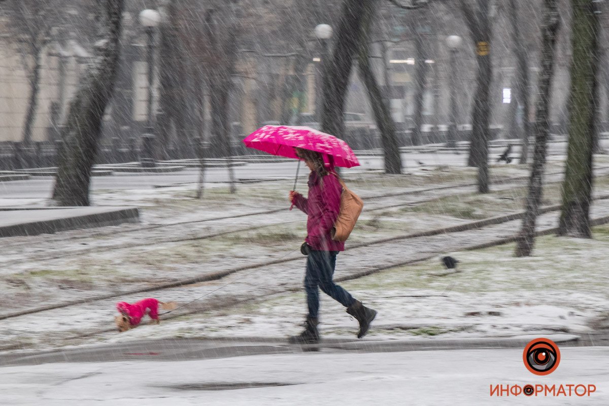 Кому-то точно не хочется гулять Кому-то точно не хочется гулять