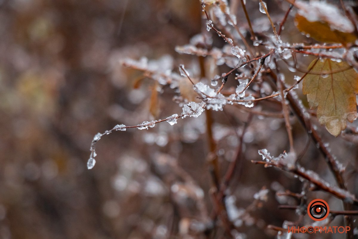 Зима, что с тобой не так Зима, что с тобой не так