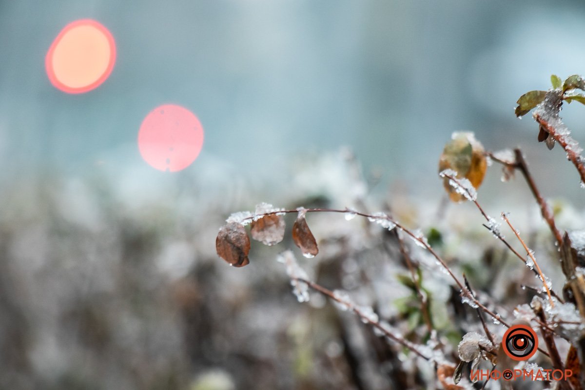 Все тает Все тает