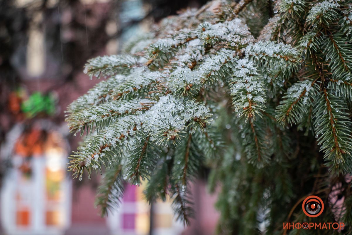 Хочется зарплату, чая с бергамотом и Новый год, как в детстве Хочется зарплату, чая с бергамотом и Новый год, как в детстве