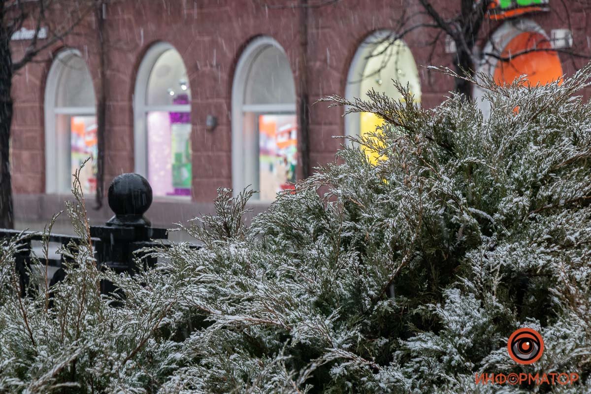 Припорошило Припорошило