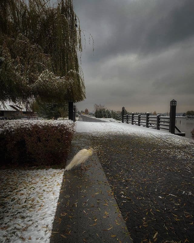 garackevich.irina garackevich.irina