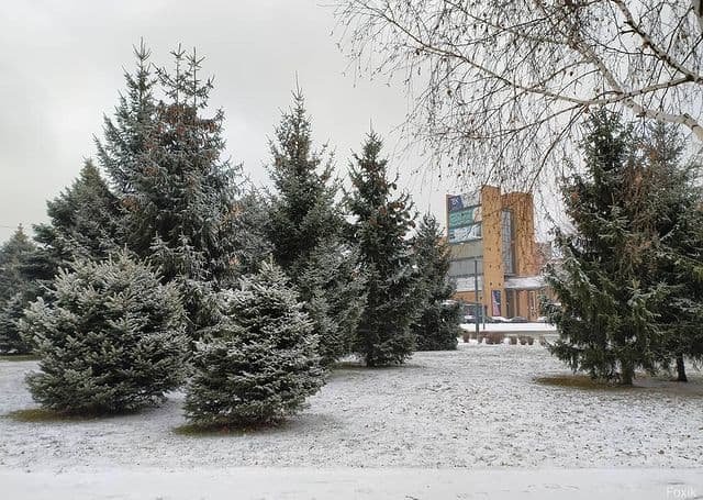 anna_letka anna_letka