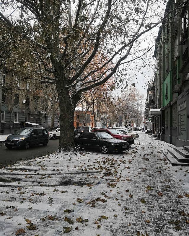 bestalexua bestalexua