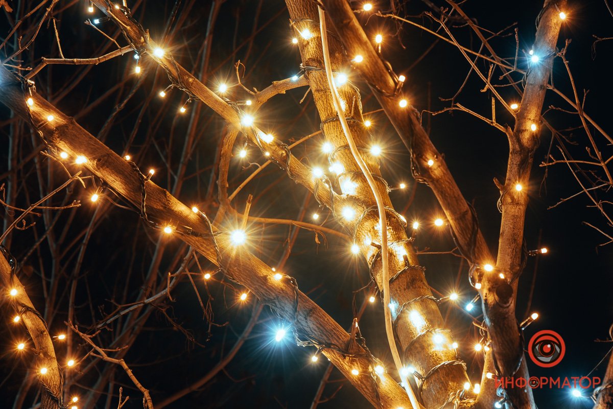 Вот так выглядят зимние плоды Вот так выглядят зимние плоды