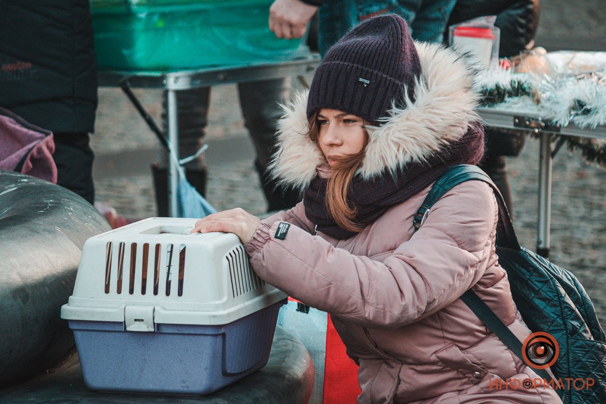 С заботой о братьях наших меньших