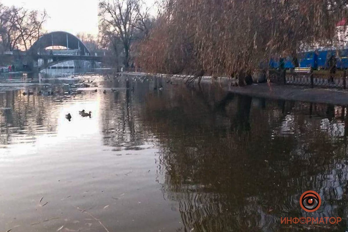 В озере в парке Глобы поднялся уровень воды
