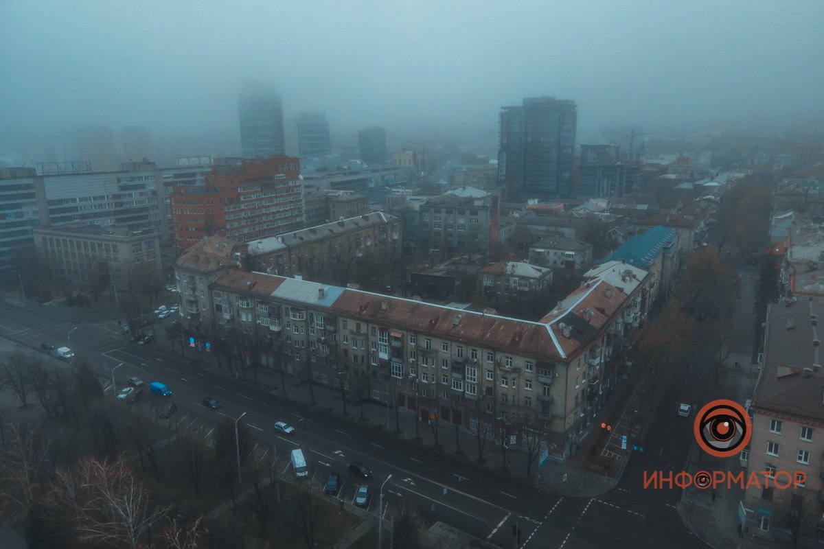 Когда ежик понимает, что кому-то нужен, то он выходит из тумана