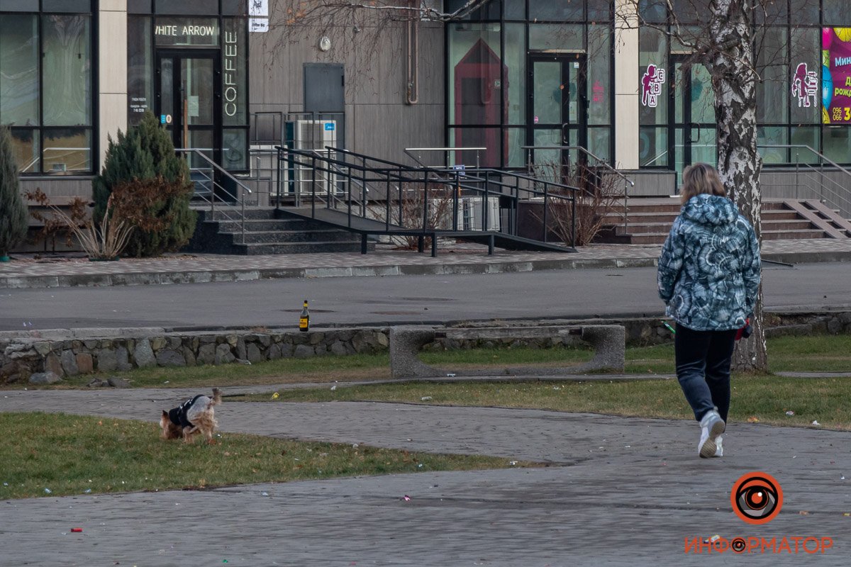 Песель ждал всю ночь, чтобы перестало бахкать 