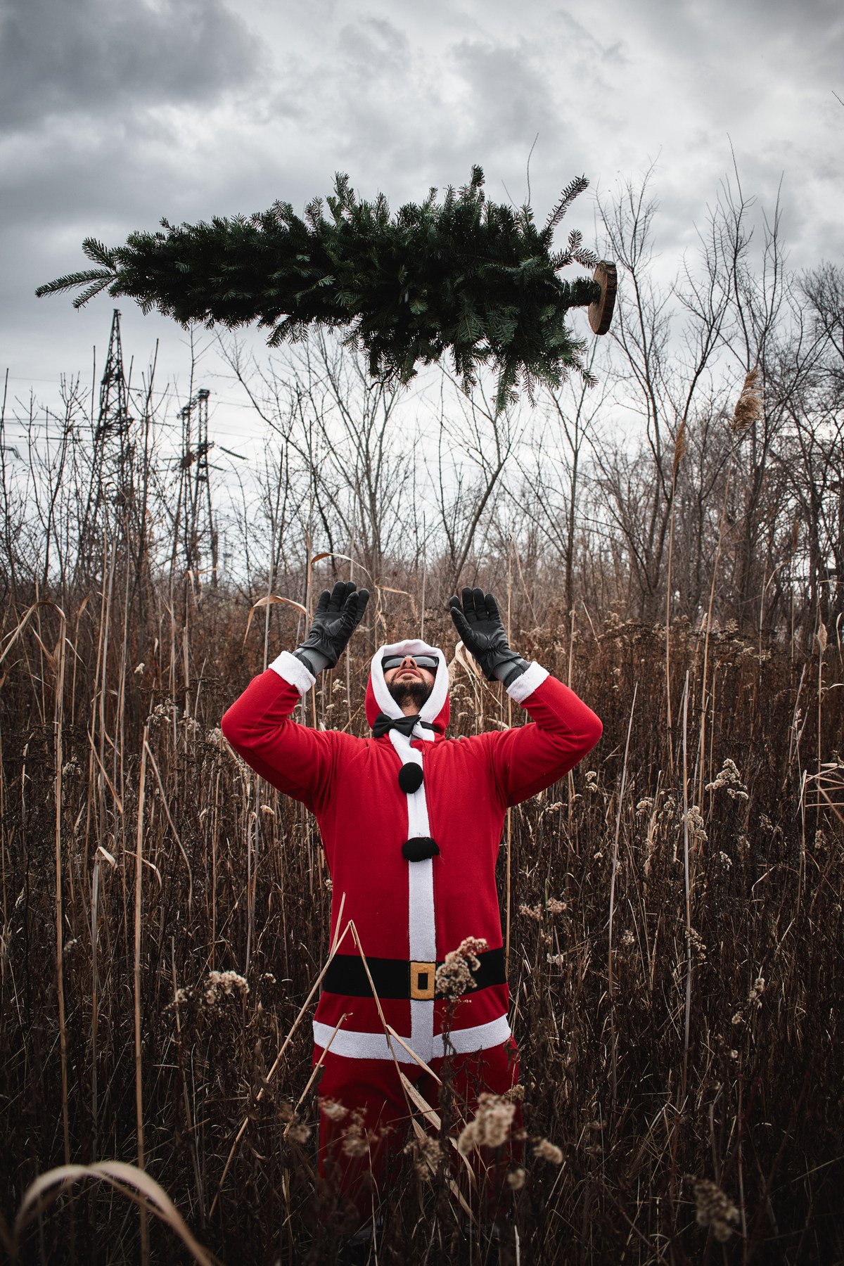 Призыв елочки Призыв елочки