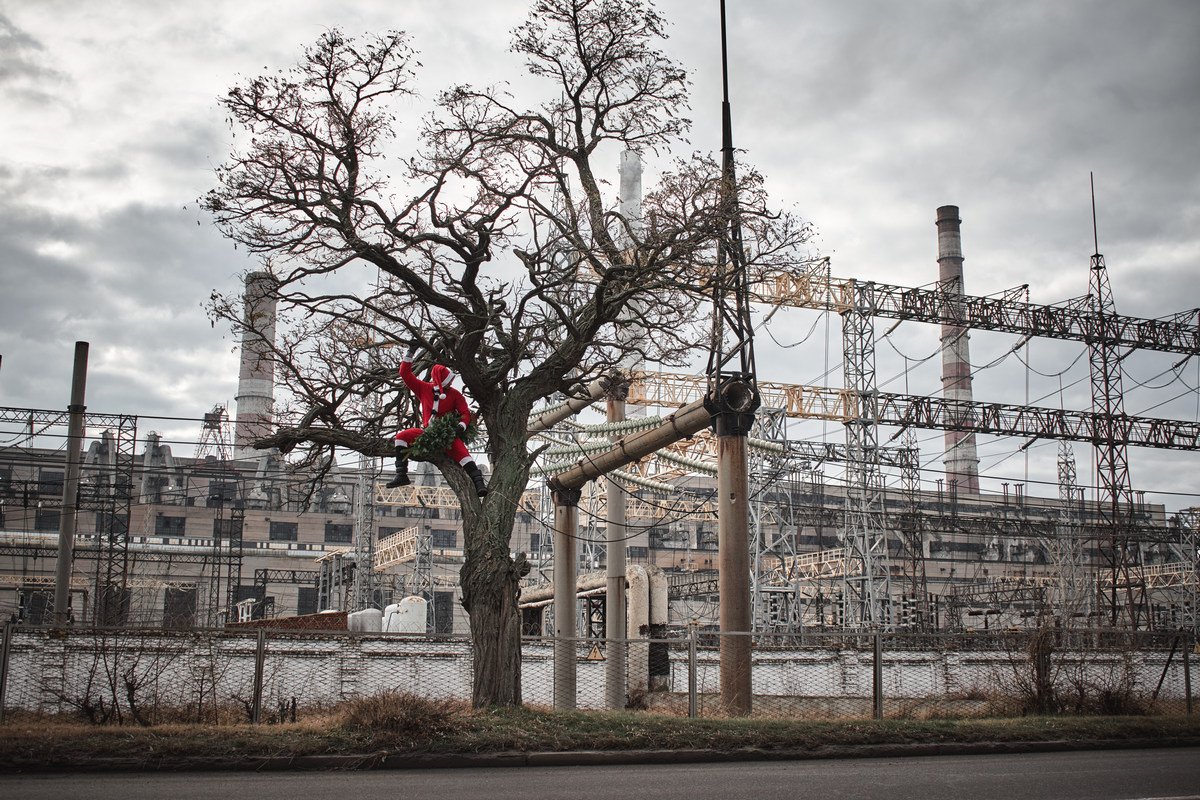 Елки на деревьях не растут Елки на деревьях не растут