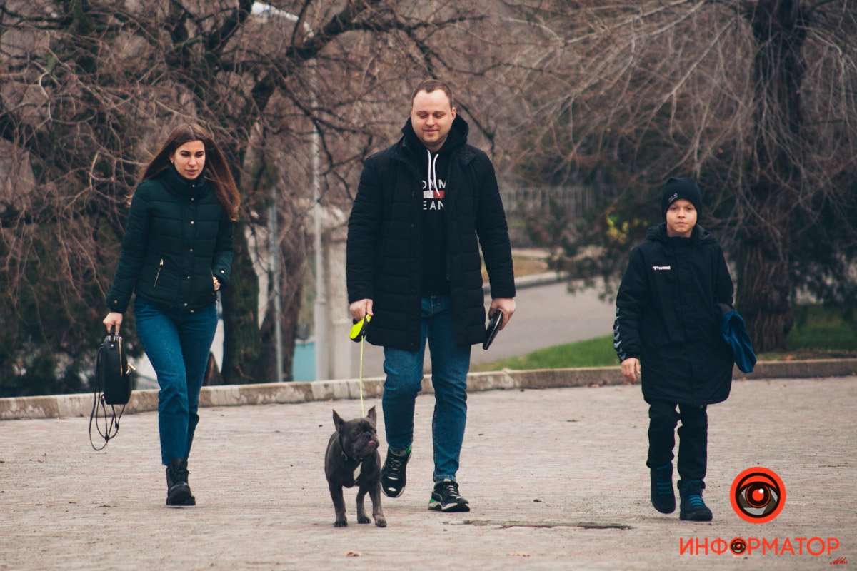 Морда мопса, как mood по жизни 😅